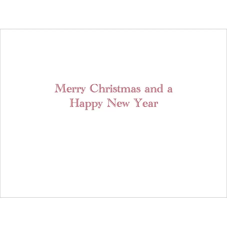 The Met Store Holiday Cards*Gordon: Santa at Mailbox Holiday Cards